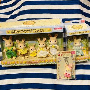 シルバニアファミリー はなぞのウサギファミリー はなぞのうさぎの女の子 福岡限定 香椎花園 Sylvanian Families