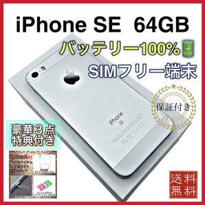 iPhoneSE シルバー 64GB SIMフリー 新品バッテリー 100%