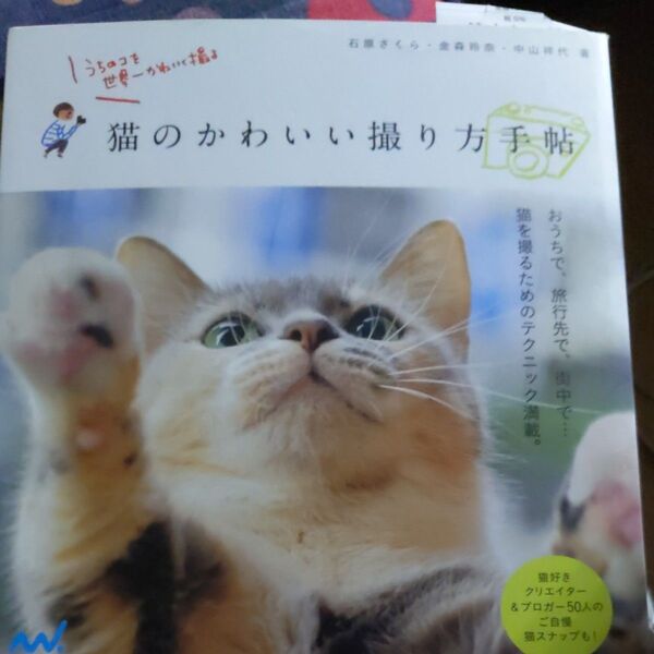 猫のかわいい撮り方手帖 うちのコを世界一かわいく撮る (うちのコを世界一かわいく撮る) 石原さくら/著 金森玲奈/著 中山祥代/著