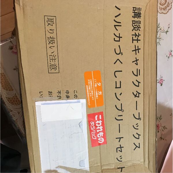 井川遥 ハルカづくしコンプリートセット(一部欠品)