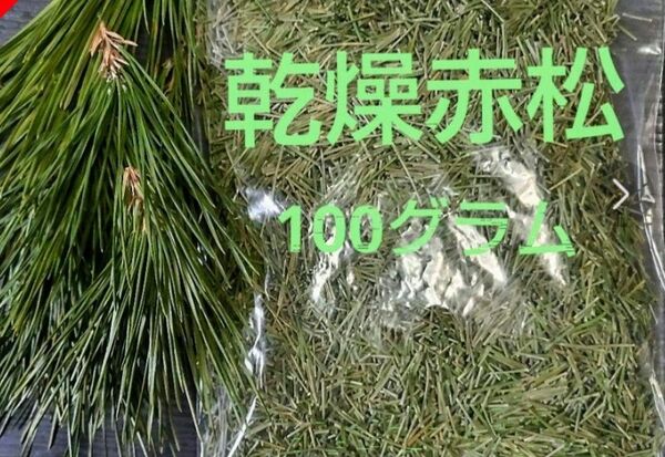 乾燥赤松100グラム、松の葉