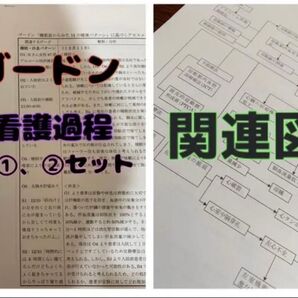 ゴードン看護過程 関連図