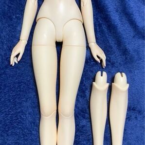 xagadoll 60cm ボディ 通常足パーツ付