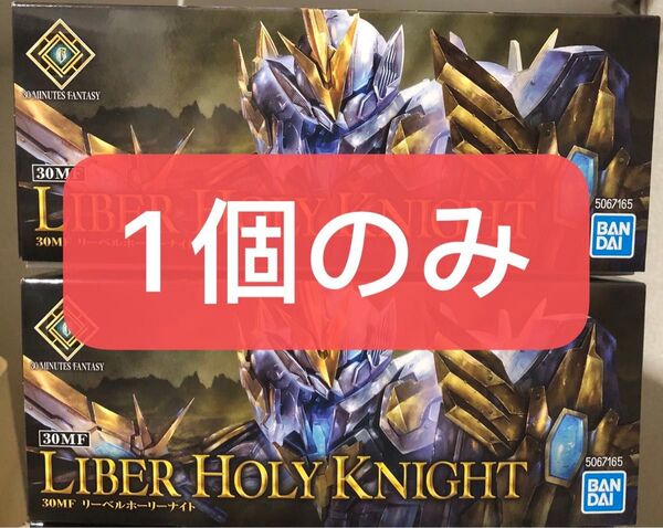 【新品未開封未組立】30MF リーベルホーリーナイト 海外限定版