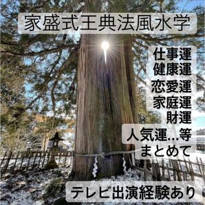 ★占い★ 家盛式王典法 風水学 九星気学 血液型