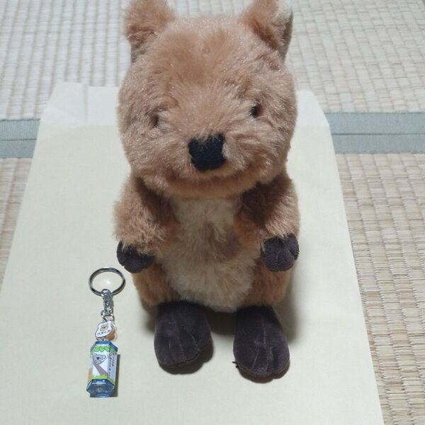 ぬいぐるみ クォッカ