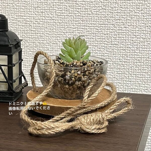 NE-456ベストコ フェイクグリーン ウッドボウルII ハンギング 人工多肉植物