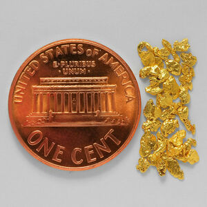  gold nageto Alaska .. gold . Gold finger sand gold bead 0.4182g