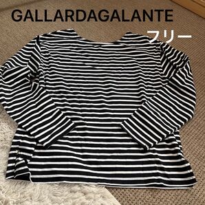 ボーダー 長袖後ろV カットソー フリーGALLARDAGALANTE 白黒