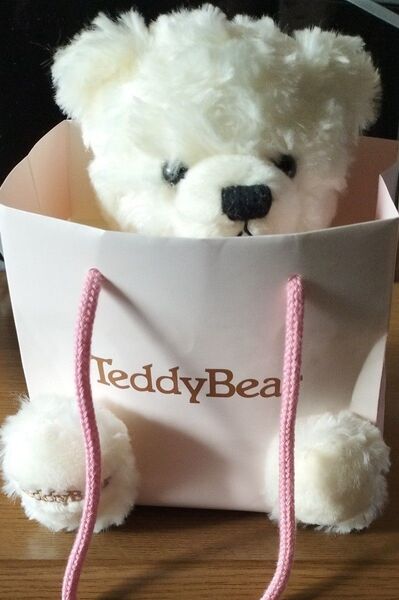 ギフト用Teddy bear紙袋くまのぬいぐるみ入タグ付き オマケ付