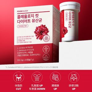 フードオロジー コレオロジーカットダイエット 乳酸菌 20錠 FOODOLOGY