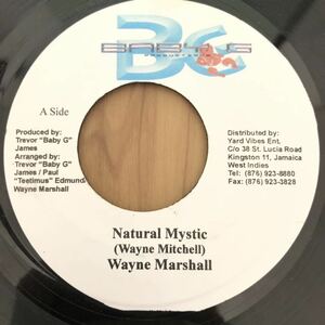 送料無料★レア 大HITガンジャチューン!! Natural Mystic / Wayne Marshall★試聴あり