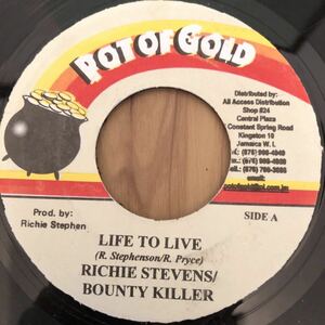 送料無料★レア 大人気コンビネーション!! Slow Jam Riddim★LIFE TO LIVE / RICHIE STEVENS & BOUNTY KILLER★