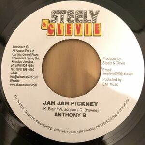 送料無料★レア 大HITスティクリ産 Punanny Riddimリメイク!! JAH JAH PICKNEY / ANTHONY B★