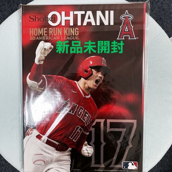 大谷翔平 ホームラン王プレミアムフレームセット