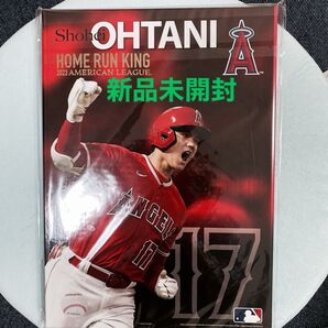 2023ア・リーグ大谷翔平 ホームラン王プレミアムフレームセット