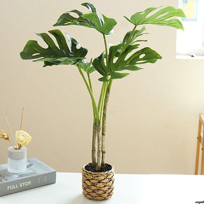【簡単世話いらず】人工観葉植物 モンステラ インテリア 空気清浄 屋内 おしゃれ 熱帯観葉樹 大型サイズ 鉢は取り外し不可