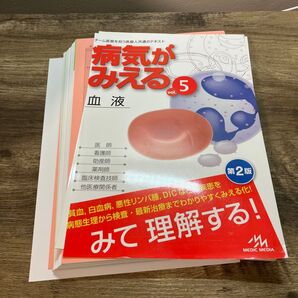 【裁断】病気がみえる 血液 第二版