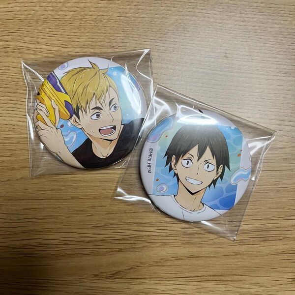 ハイキュー サマーフェア 水遊び 缶バッジ 宮侑 山口忠