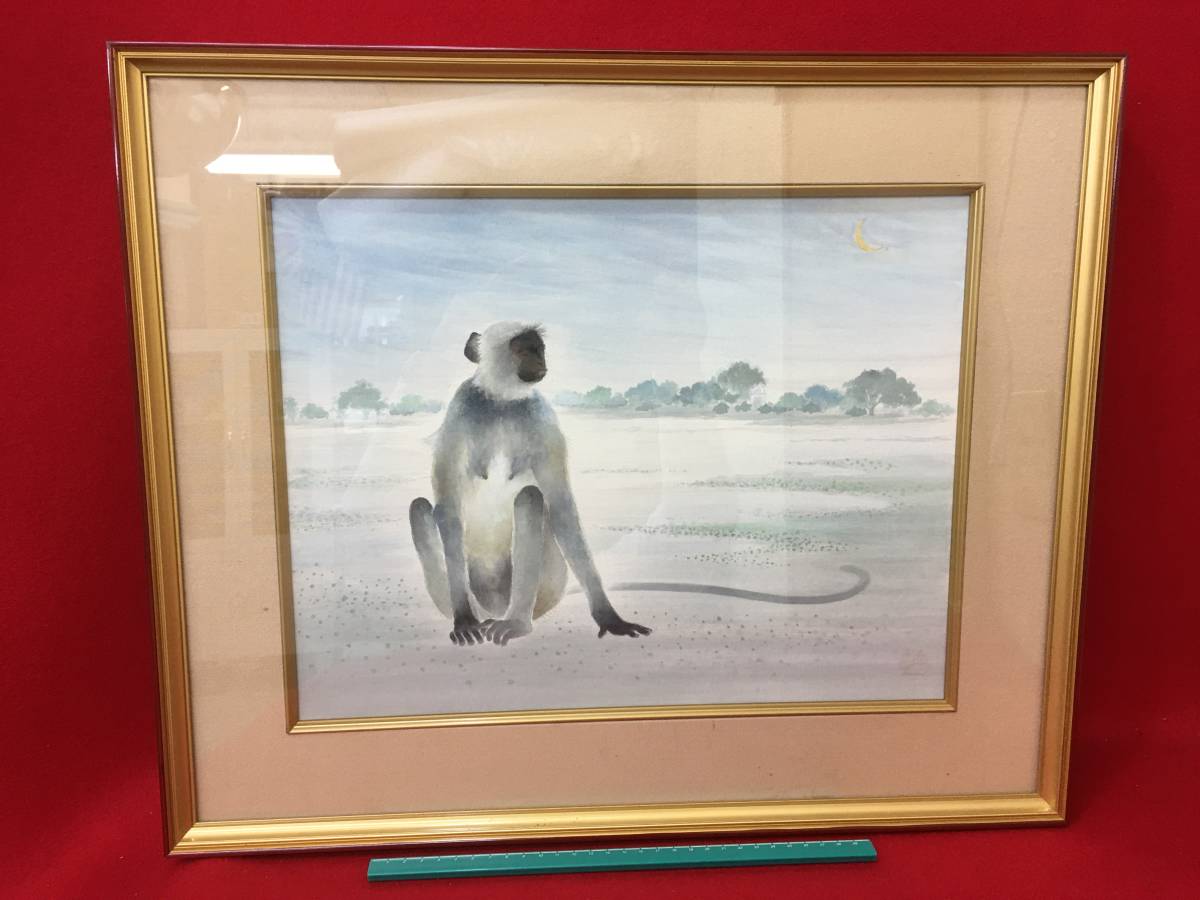 ★[Ippindo]★ Sayuri Miwa's work Watercolor painting Animal painting Framed with glass cover Monkey painting Monkey Painting Old painting Rare item Asahi Shimbun Welfare Cultural Corporation, painting, watercolor, animal drawing