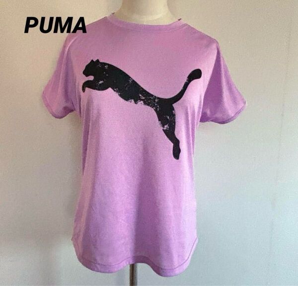 PUMA プーマ Tシャツ ピンク 速乾生地 半袖 クルーネック