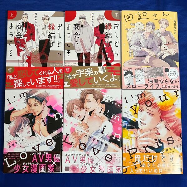 【6冊】阿部あかね*田辺さんがころんだ+I'm in Love+ お付き合い編+I’m your Prisoner+ おしどり