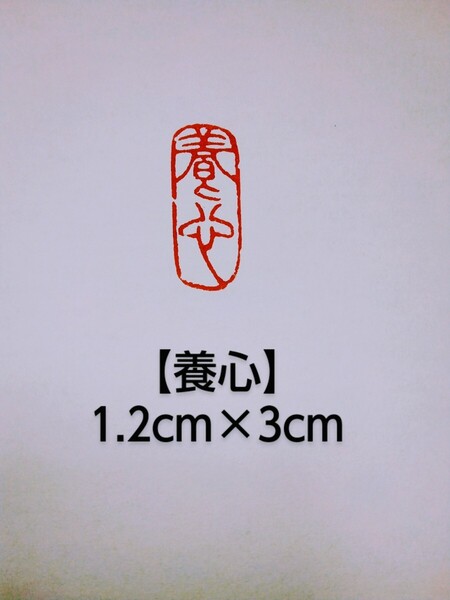 篆刻 引首印 遊印 落款印 関防印 雅号印 印章 刻印 書道 寿山石 楕円1.2cm×3.0cm 「養心」