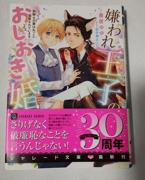 嫌われ王子のおしおき婚 狼騎士の妻は丸ごと溺愛されています 葵居ゆゆ BL小説