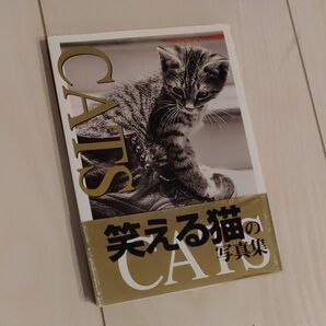 Cats (ワニ文庫 ベストビジュアル文庫) ハローケイエンターテインメント/編