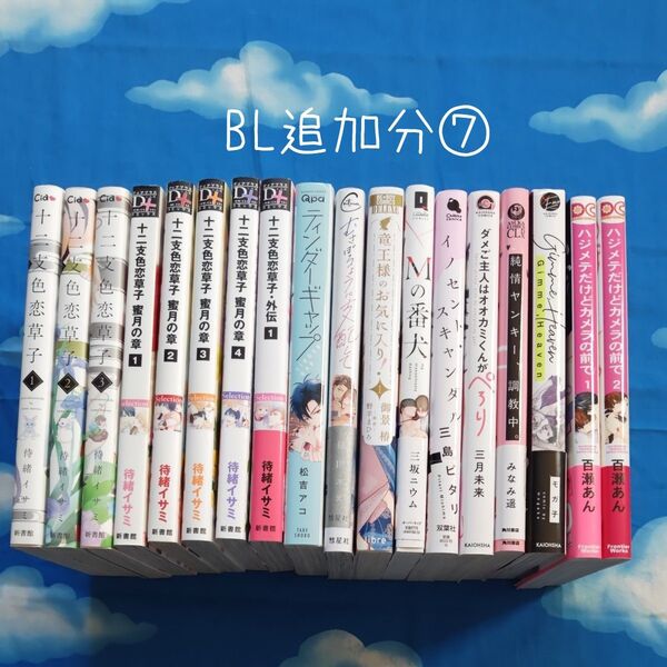 TYX17 BLコミックス 追加分⑦ 18冊 バラ可