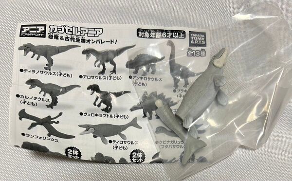 ティロサウルス(子ども)カプセルアニア