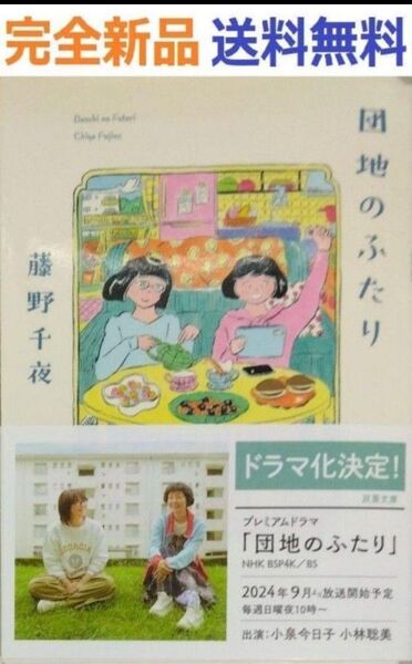 団地のふたり (双葉文庫 ふ 22-05) 藤野 千夜