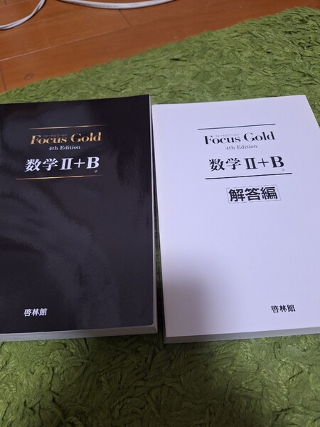 【送料込み】Focus Gold数学2+B