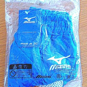 Mizuno ブルマ
