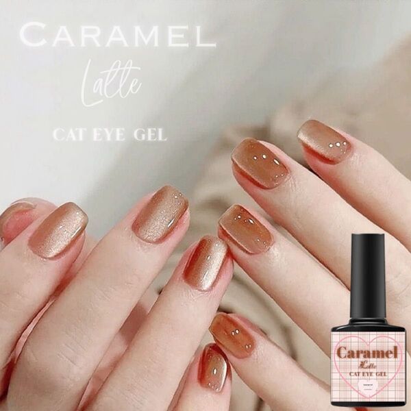 caramel Latte cat eye magnet gel . マグネットジェルネイル