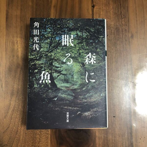 森に眠る魚 角田光代