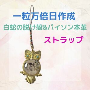 《486》 白蛇の脱け殻&パイソン本革 ストラップ