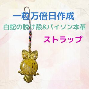 《489》 白蛇の脱け殻&パイソン本革 ストラップ
