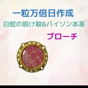 《477》 白蛇の脱け殻&パイソン本革 ブローチ