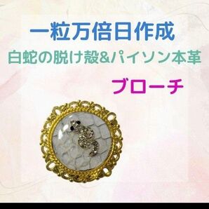 《481》 白蛇の脱け殻&パイソン本革 ブローチ