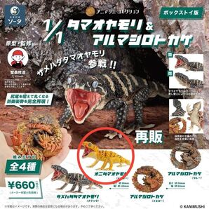 オニタマオヤモリ アニマリエコレクション ボックストイ版 新品未開封