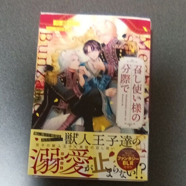 召し使い様の分際で (&arche NOVELS) 月齢/〔著〕