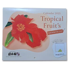 2025年 壁掛けカレンダー