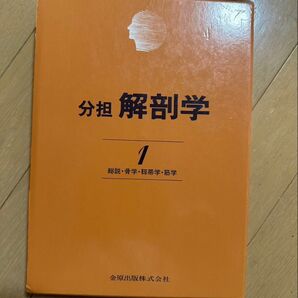 分担解剖学1