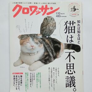 クロワッサン「猫は不思議」(特別付録・シール)中川翔子 森高千里 マリモちゃん、フクちゃん