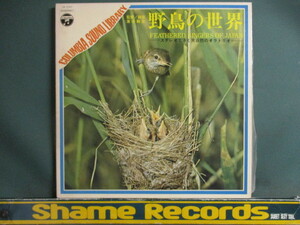  ： 野鳥の世界 ステレオできく大自然のオラトリオ LP // カッコウ / ウグイス / ウミガラス / 5点で送料無料