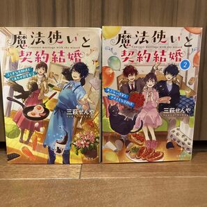 魔法使いと契約結婚 ふしぎな旦那様としあわせ同居生活 (双葉文庫 み-30-02) 三萩せんや/著