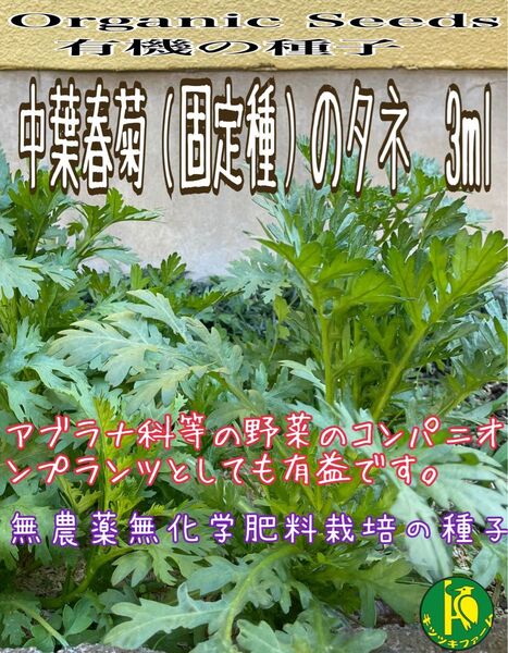中葉春菊(固定種)のタネ 3ml 無農薬無化学肥料栽培 コンパニオンプランツとしても有益!