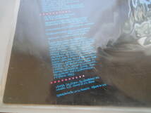 ★ THE BIRDHOUSE LP オリジナル盤 ROCK　ハノイロック 666 DISCHARGE GAUZE PUNK SA BAD BRAINS RANCID パンク CLASH ALL BAD RELIGION_画像4