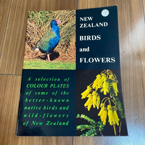 New Zealand Birds and Flowers 野鳥 植物 カラー写真